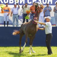 Танец чемпионки :: M Marikfoto