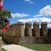 Стены средневековой крепости и... благоухающая роза... :: Galina Dzubina