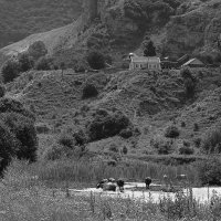 Пейзаж с домом на горе и коровами в речке :: M Marikfoto