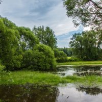 Тихий уголок. :: Владимир Безбородов