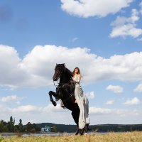 Тайны волшебного леса :: Екатерина Переславцева