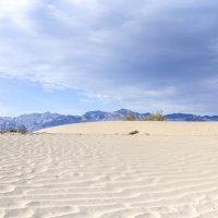 Песчаные дюны в Долине смерти :: Ольга Петруша