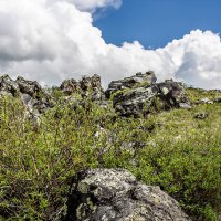 Северные склоны Эльбруса :: Наталья Городовая