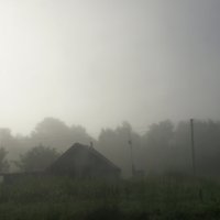Утро .туман .роса :: Николай Сапегин