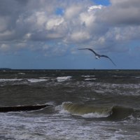 Балтийское море :: Клавдия Андреева