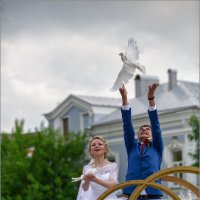 Летите голуби... :: Сергей Величко