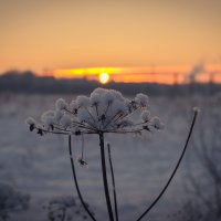 Зимний закат :: Александр Долгов