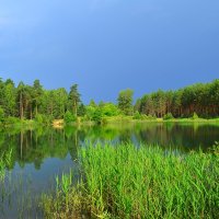 Под дыханьем непогоды,будто потемнели воды.. :: Алла Кочергина