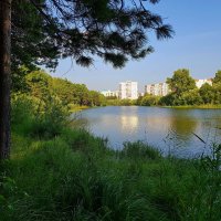 В парке... :: Олег Петрушов