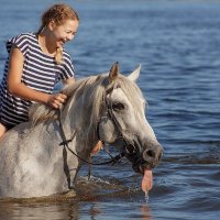 Настроение :: Елена Логачева