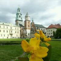 Замок Wawel в Кракове :: Galina Belugina