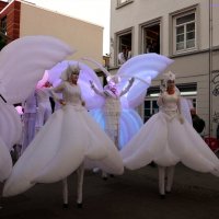 Weiße Parade Altona :: Nina Yudicheva