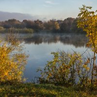 Осеннее настроение :: Лариса Березуцкая