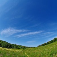 Тропинка в небо. Растворение в безмолвии :: Николай Смольников