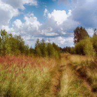 за городом :: Сергей Бойцов