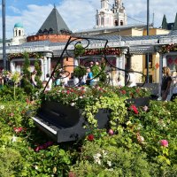 Рояль в розовых кустах на  Площади революции. :: Татьяна Помогалова