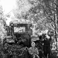 Встреча в лесу :: Наталия Галуза