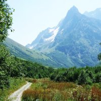 Дороги, дороги, снова дурманят. :: Елена Московская