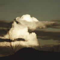 Облакатое облако :: Виктория Большагина
