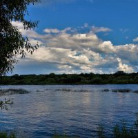 Летний день на Мологе реке... :: Sergey Gordoff