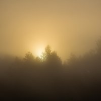 Утренний туман :: Алёнка Шапран