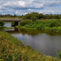 Звонкий август :: Вера Андреева