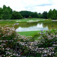 Planten un Blomen. Hamburg :: Nina Yudicheva