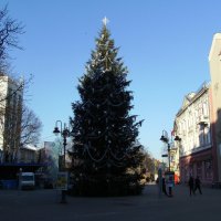 Новогодняя   ёлка  в   Ивано - Франковске :: Андрей  Васильевич Коляскин