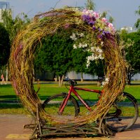 колесо из лета в осень :: StudioRAK Ragozin Alexey