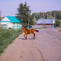 Сережские зарисовки :: Роман 