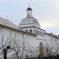 ВВеденский Владычный монастырь. :: tatiana 