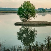 Отражение :: ирина лузгина 