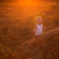 на закате уходящего лета :: Маргарита 