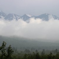 Туман :: Дмитрий Солоненко