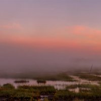 Панорама Карельских болот :: Альберт Беляев