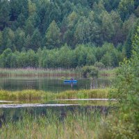 Одинокий рыбак :: Анна Вязникова