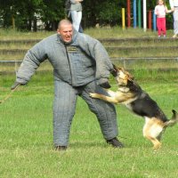 Нарушитель не пройдёт! :: Людмила Жданова