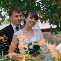 Свадьба :: Геннадий Никулочкин