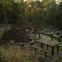 Кантри парк на востоке Гонконга, разрушенный ураганом :: Sofia Rakitskaia