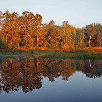 Теплом холодным светится вода... :: Лесо-Вед (Баранов)