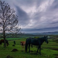 Вечером :: Альберт Беляев