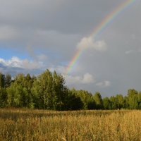 Радуга над лесом :: Вера Андреева