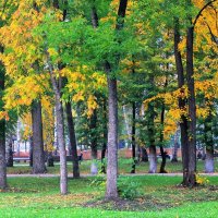 в городском парке :: Горкун Ольга Николаевна 