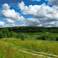 Смоленщина в июле :: Милешкин Владимир Алексеевич 