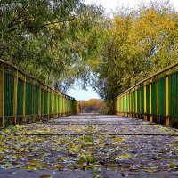 Дорога в Осень :: Сергей Землянский