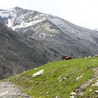 дам где рождаются легенды :: Михаил 