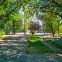 Летний день в тени старого парка. :: Вахтанг Хантадзе