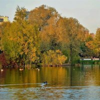 А на том берегу осень... :: Sergey Gordoff