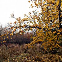 Осенний пейзаж :: Татьяна Королёва