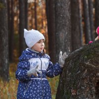 В осеннем лесу 2 :: Вячеслав Васильевич Болякин